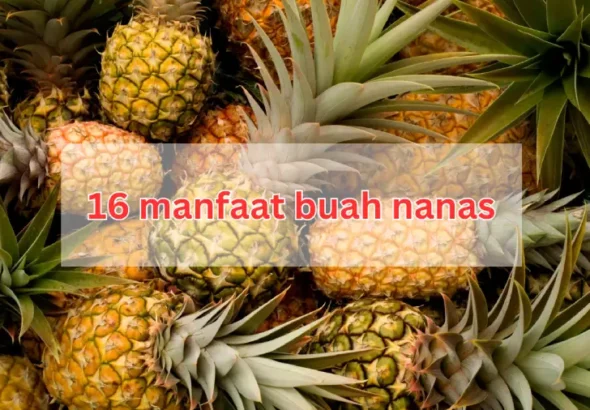 manfaat buah nanas yang jarang orang tahu