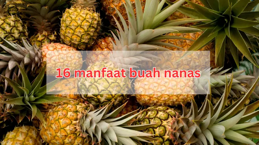 manfaat buah nanas yang jarang orang tahu